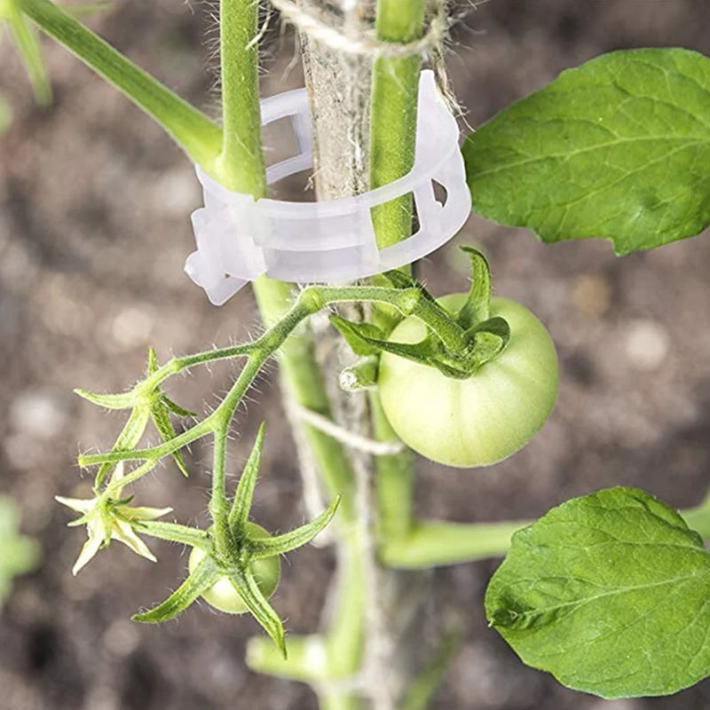 Plant Binder™ Halteklammern für Pflanzen