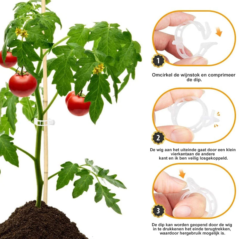 Plant Binder™ Halteklammern für Pflanzen