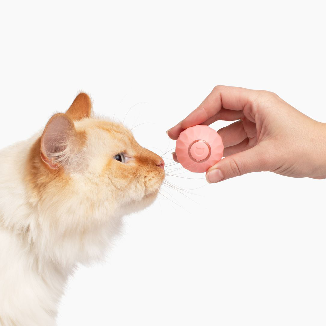 PowerBall™ Lassen Sie Ihre Katze strahlen!