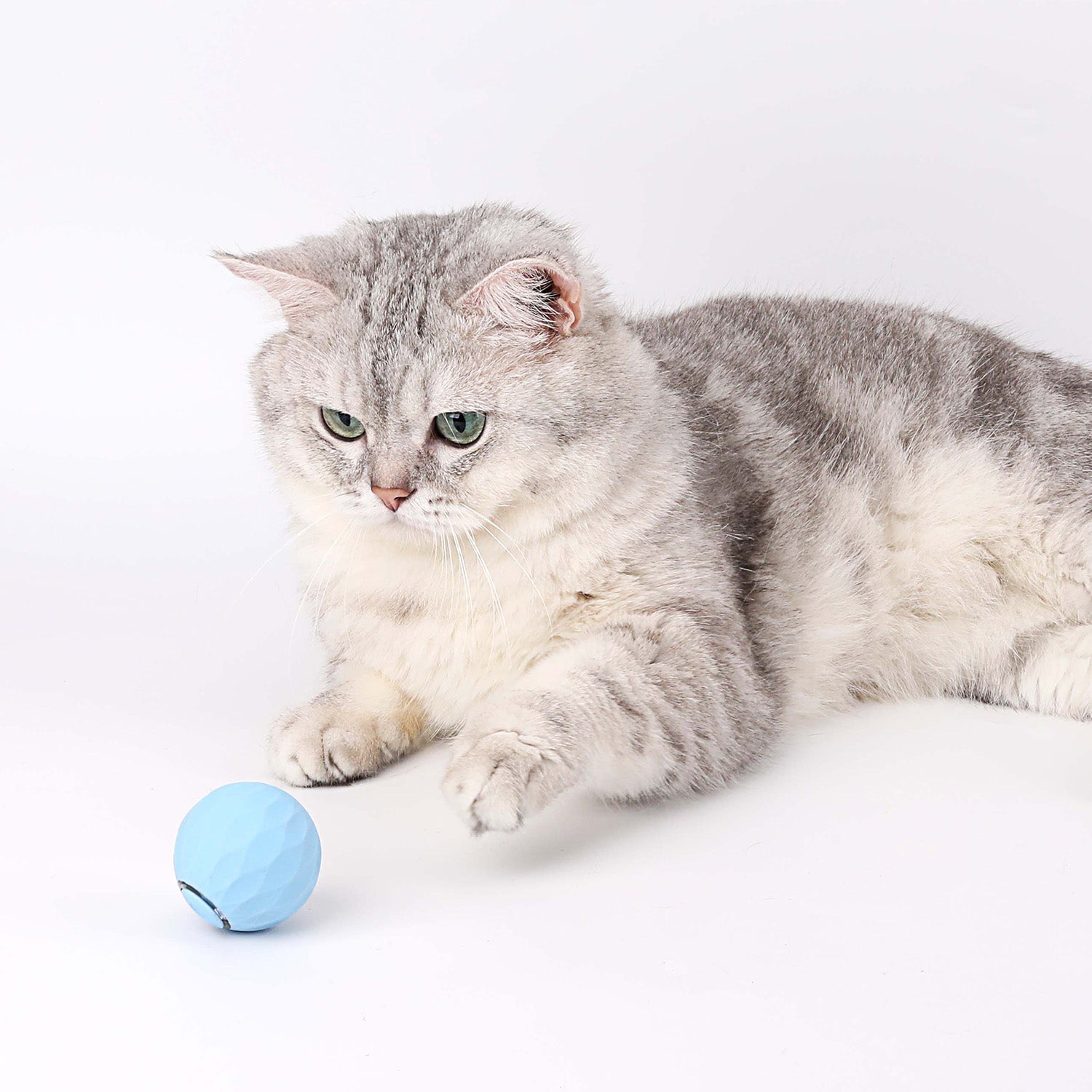 PowerBall™ Lassen Sie Ihre Katze strahlen!